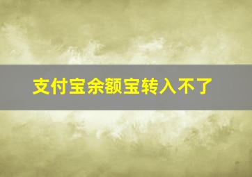 支付宝余额宝转入不了