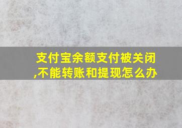 支付宝余额支付被关闭,不能转账和提现怎么办