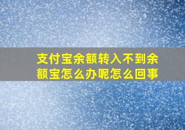 支付宝余额转入不到余额宝怎么办呢怎么回事