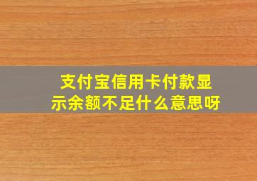 支付宝信用卡付款显示余额不足什么意思呀