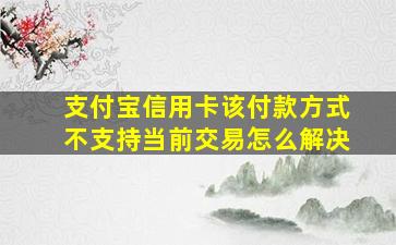 支付宝信用卡该付款方式不支持当前交易怎么解决