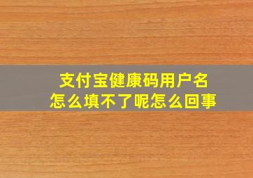 支付宝健康码用户名怎么填不了呢怎么回事