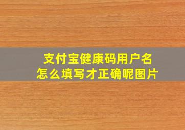 支付宝健康码用户名怎么填写才正确呢图片