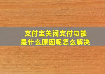 支付宝关闭支付功能是什么原因呢怎么解决