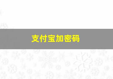 支付宝加密码