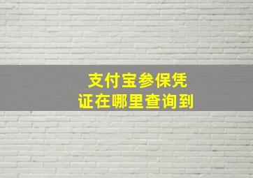 支付宝参保凭证在哪里查询到