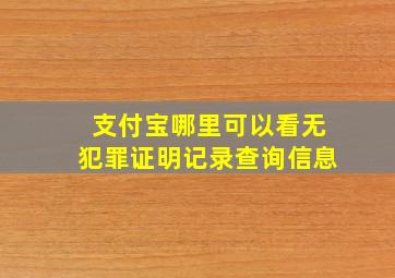 支付宝哪里可以看无犯罪证明记录查询信息