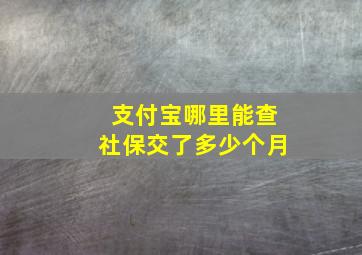 支付宝哪里能查社保交了多少个月