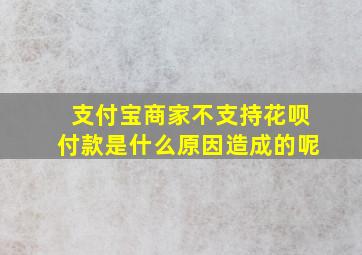 支付宝商家不支持花呗付款是什么原因造成的呢