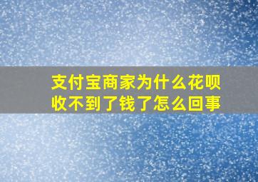 支付宝商家为什么花呗收不到了钱了怎么回事