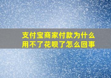 支付宝商家付款为什么用不了花呗了怎么回事