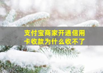 支付宝商家开通信用卡收款为什么收不了