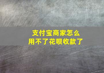 支付宝商家怎么用不了花呗收款了