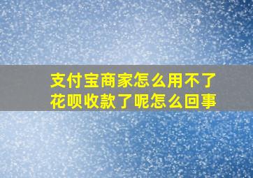 支付宝商家怎么用不了花呗收款了呢怎么回事