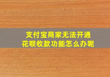 支付宝商家无法开通花呗收款功能怎么办呢