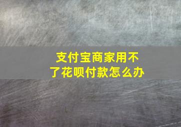 支付宝商家用不了花呗付款怎么办