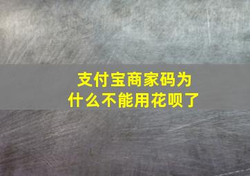 支付宝商家码为什么不能用花呗了