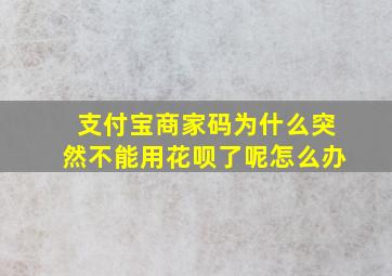 支付宝商家码为什么突然不能用花呗了呢怎么办