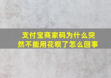 支付宝商家码为什么突然不能用花呗了怎么回事