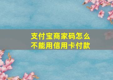 支付宝商家码怎么不能用信用卡付款