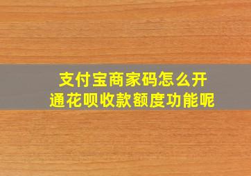 支付宝商家码怎么开通花呗收款额度功能呢