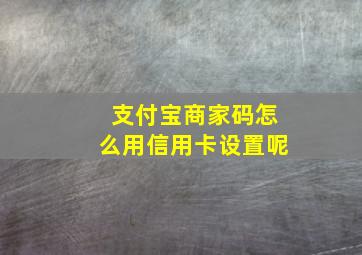 支付宝商家码怎么用信用卡设置呢