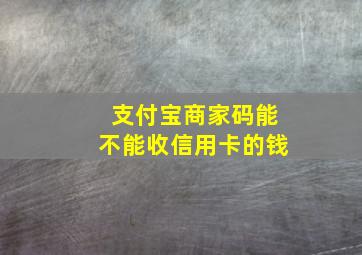 支付宝商家码能不能收信用卡的钱