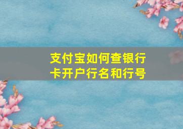 支付宝如何查银行卡开户行名和行号