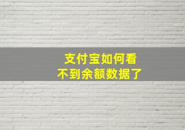 支付宝如何看不到余额数据了