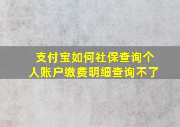 支付宝如何社保查询个人账户缴费明细查询不了