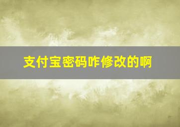 支付宝密码咋修改的啊