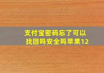 支付宝密码忘了可以找回吗安全吗苹果12