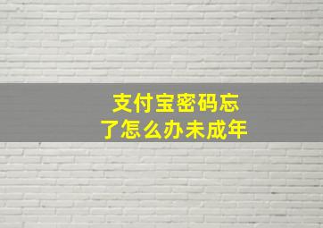 支付宝密码忘了怎么办未成年