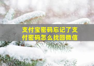 支付宝密码忘记了支付密码怎么找回微信