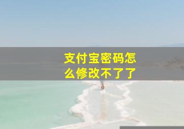 支付宝密码怎么修改不了了