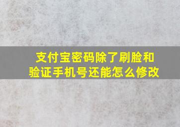 支付宝密码除了刷脸和验证手机号还能怎么修改