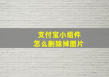 支付宝小组件怎么删除掉图片