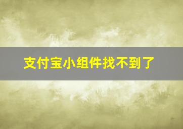 支付宝小组件找不到了