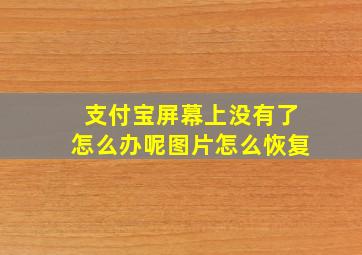 支付宝屏幕上没有了怎么办呢图片怎么恢复