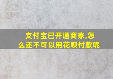 支付宝已开通商家,怎么还不可以用花呗付款呢