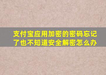 支付宝应用加密的密码忘记了也不知道安全解密怎么办