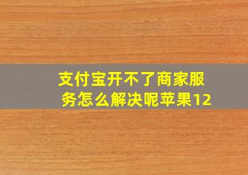 支付宝开不了商家服务怎么解决呢苹果12