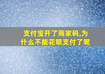 支付宝开了商家码,为什么不能花呗支付了呢