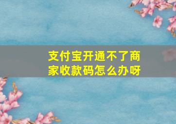 支付宝开通不了商家收款码怎么办呀