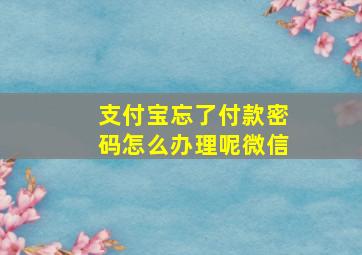 支付宝忘了付款密码怎么办理呢微信