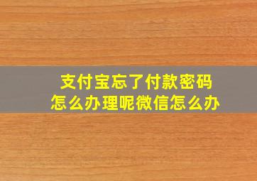 支付宝忘了付款密码怎么办理呢微信怎么办