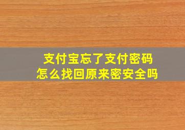 支付宝忘了支付密码怎么找回原来密安全吗