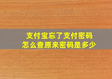 支付宝忘了支付密码怎么查原来密码是多少