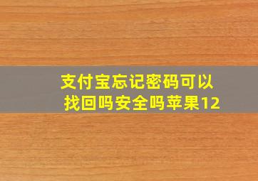 支付宝忘记密码可以找回吗安全吗苹果12