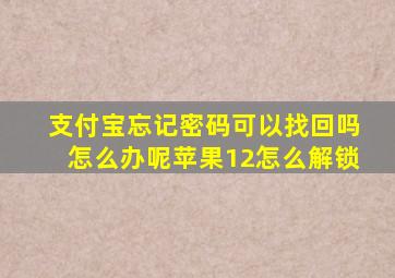 支付宝忘记密码可以找回吗怎么办呢苹果12怎么解锁